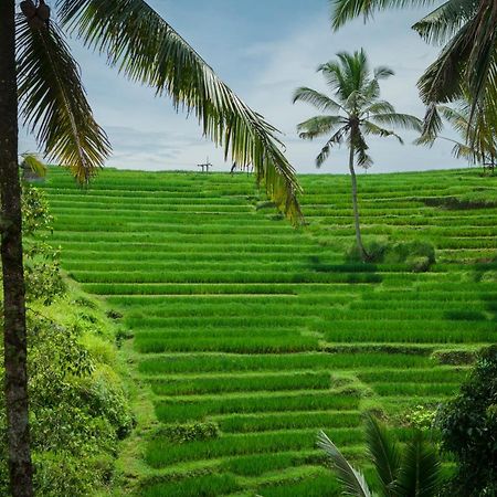 Be Bali Stay อูบุด ภายนอก รูปภาพ